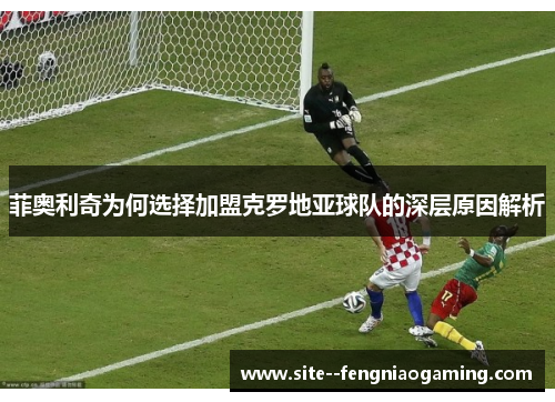 菲奥利奇为何选择加盟克罗地亚球队的深层原因解析