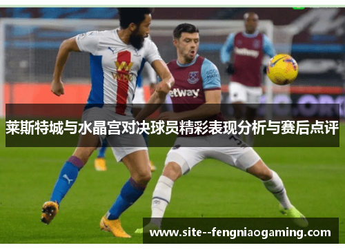 莱斯特城与水晶宫对决球员精彩表现分析与赛后点评