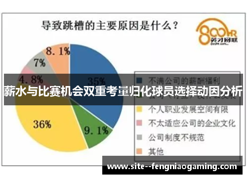 薪水与比赛机会双重考量归化球员选择动因分析