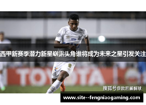 西甲新赛季潜力新星崭露头角谁将成为未来之星引发关注 西甲新赛季潜力新星崭露头角谁将成为未来之星引发关注