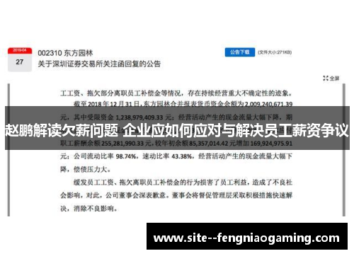 赵鹏解读欠薪问题 企业应如何应对与解决员工薪资争议