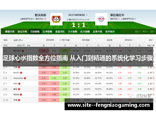 足球心水指数全方位指南 从入门到精通的系统化学习步骤