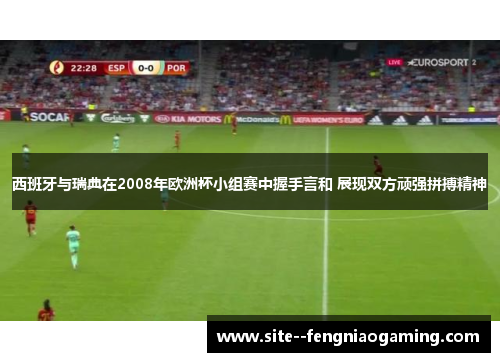西班牙与瑞典在2008年欧洲杯小组赛中握手言和 展现双方顽强拼搏精神
