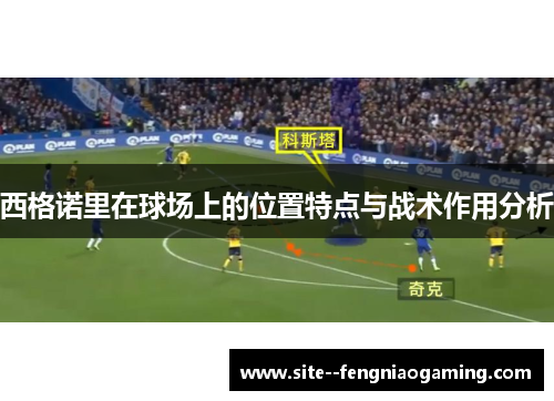 西格诺里在球场上的位置特点与战术作用分析