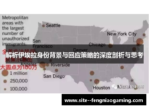 解析伊埃拉身份背景与回应策略的深度剖析与思考