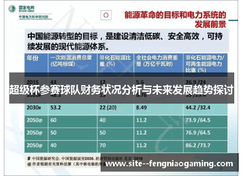 超级杯参赛球队财务状况分析与未来发展趋势探讨