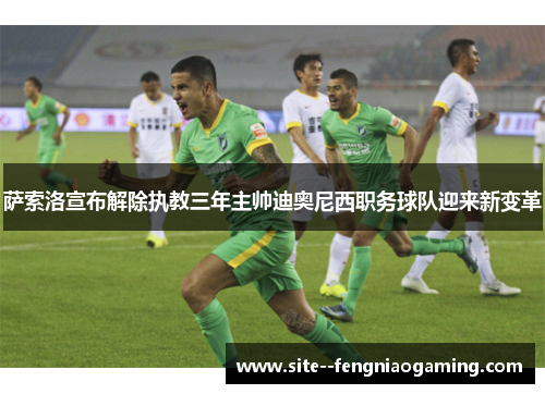 萨索洛宣布解除执教三年主帅迪奥尼西职务球队迎来新变革