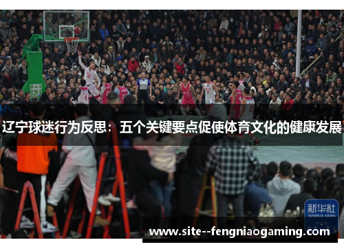 辽宁球迷行为反思：五个关键要点促使体育文化的健康发展