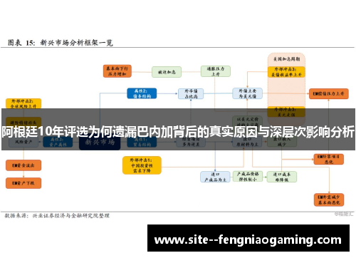阿根廷10年评选为何遗漏巴内加背后的真实原因与深层次影响分析