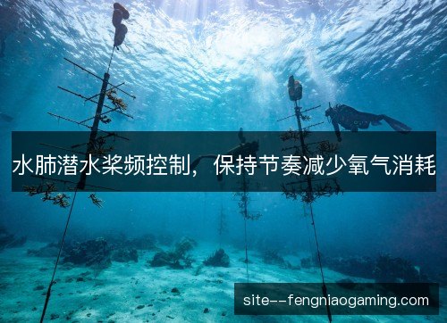 水肺潜水桨频控制，保持节奏减少氧气消耗
