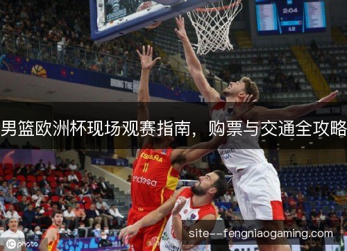 男篮欧洲杯现场观赛指南，购票与交通全攻略