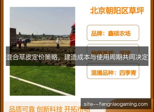 混合草皮定价策略，建造成本与使用周期共同决定